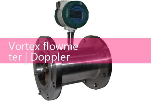 Vortex flowmeter